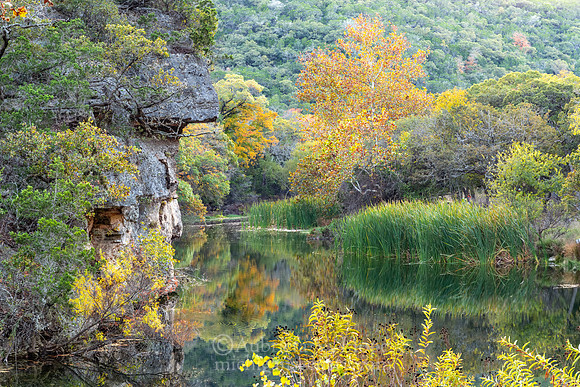 "A Peaceful Afternoon at The Pond", Lost Maples State Natural Area