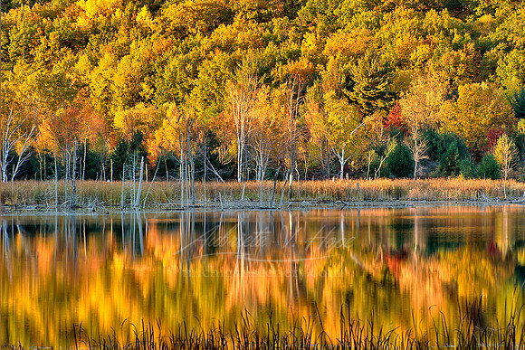"Narada Lake, Autumn"