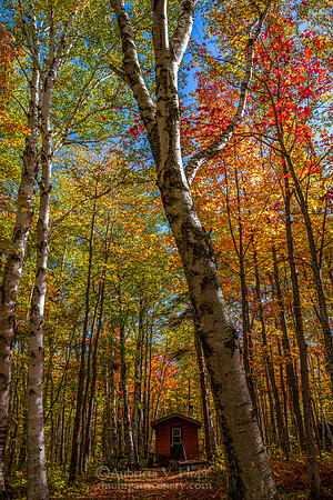 "Backcountry Cabin", Porcupine Mountains