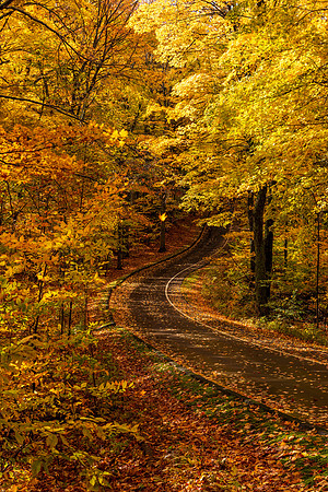 "Scenic Autumn Drive, Sleeping Bear Dunes"