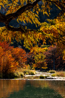 "Frio Gold, Garner State Park"