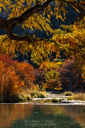 "Frio Gold, Garner State Park"
