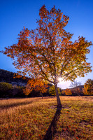 Texas State Parks