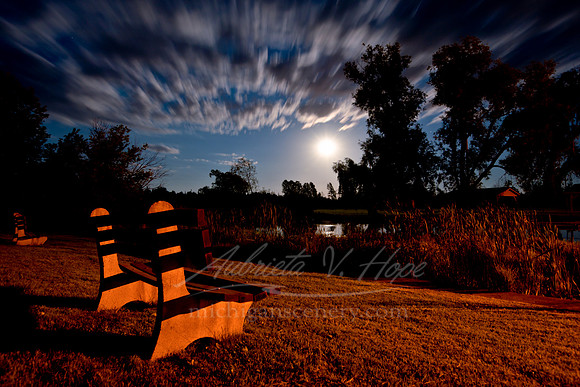 "Moonrise at Victoria Creek Community Park, Cedar