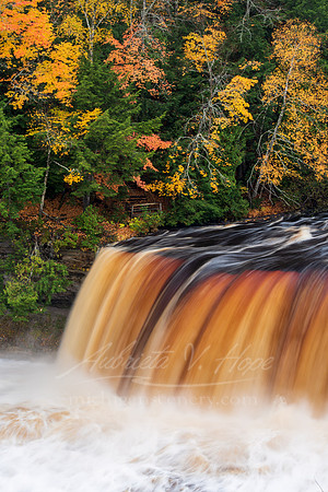 "Tahquamenon Thunder"