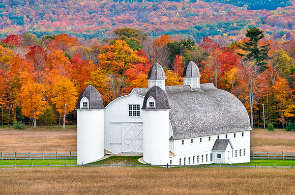 "D. H. Day Barn, Autumn"