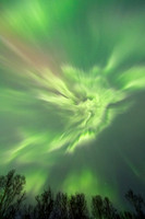 "Overhead Lights,  Porcupine Mountains"