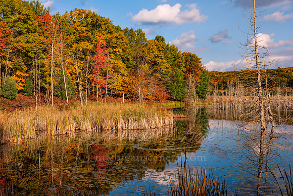 "Autumn Reflections, Narada Lake"