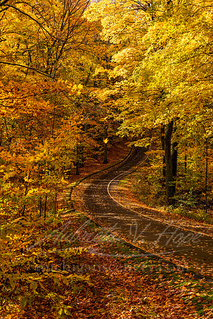 "Scenic Autumn Drive, Sleeping Bear Dunes"