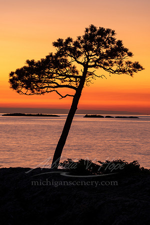 "Twilight Magic, Esrey Park"