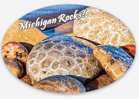 "Michigan Rocks! 2"x3" Oval Sticker