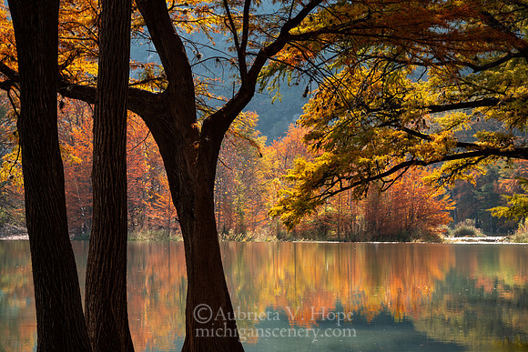 "Fall Colors at the Frio River", Garner State Park